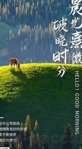 南非世界杯上斯洛伐克队-南非世界杯上的斯洛伐克队，黑马传奇